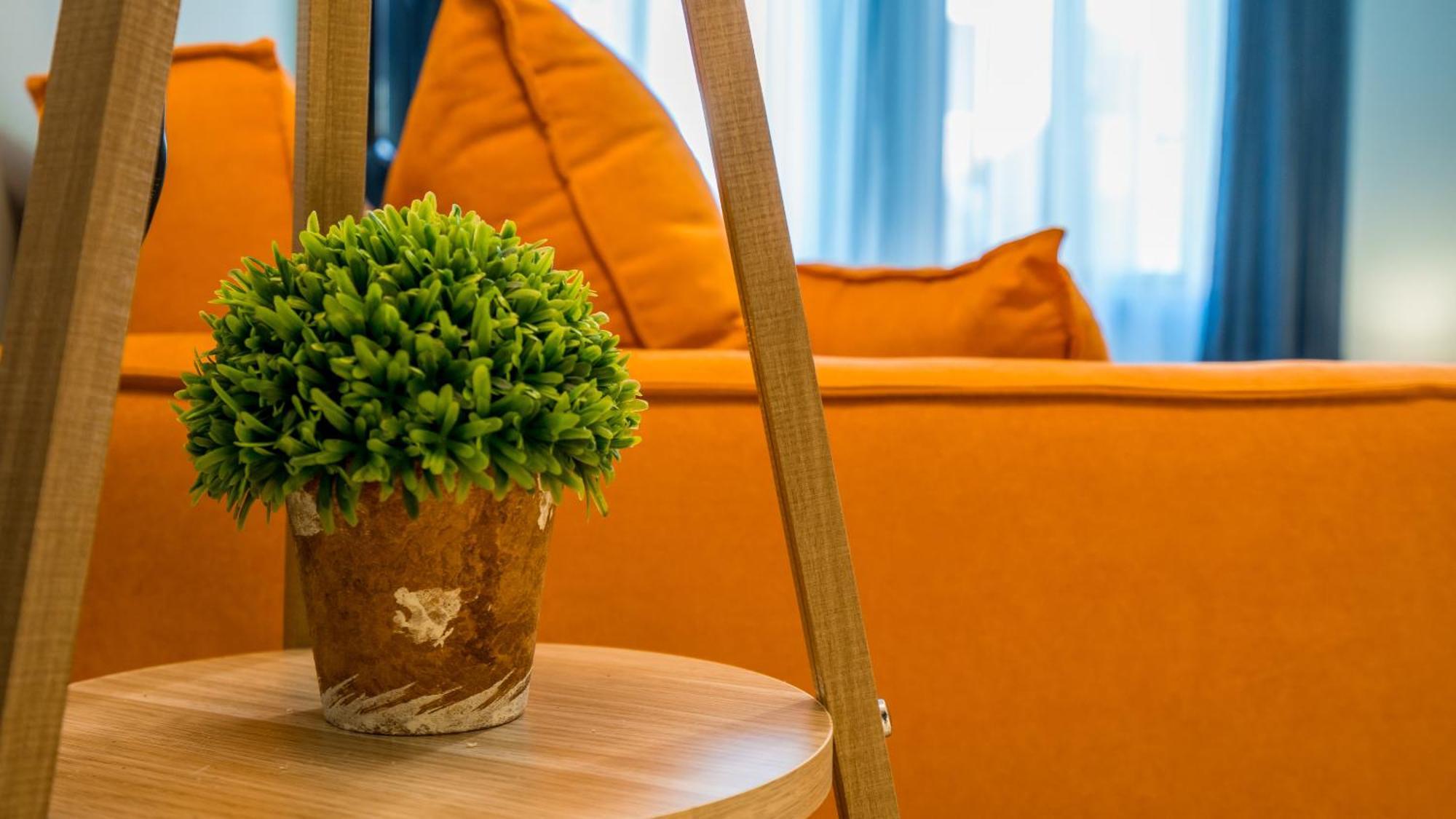 Appartement New Goodhost Goudaouri